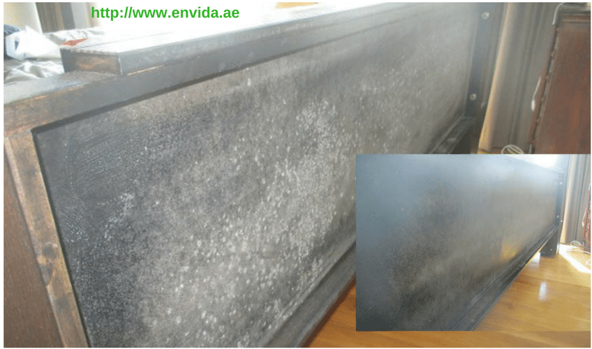 Air duct cleaning: schedule it or skip it?