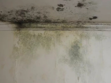The Hidden Costs of Mold in Dubai’s Hospitals, Schools and Commercial Facilities